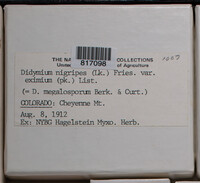 Image Associated With the Occurence